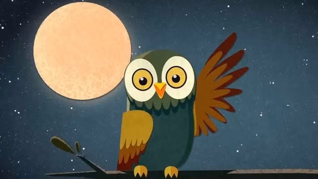 Posters of the film themed ‘La chouette entre veille et sommeil"