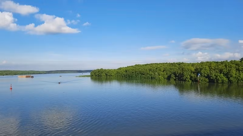 A corner of the Can Gio Mangrove Biosphere Reserve 