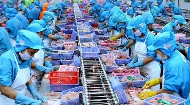 Illustrative image (Photo: VNA)