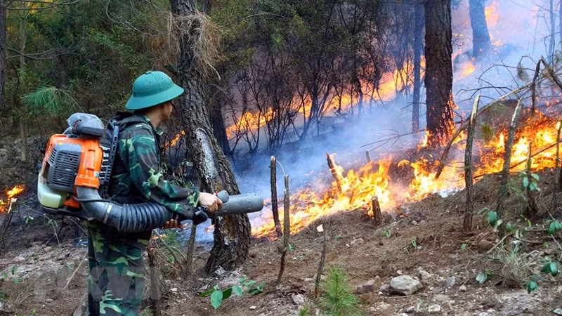 Illustrative image (Photo: VNA)