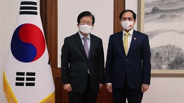 Vietnamese Minister of Foreign Affairs Bui Thanh Son (R) and Speaker of the RoK's National Assembly Park Byeong-seug at their meeting in Seoul on February 11 (Photo: VNA)