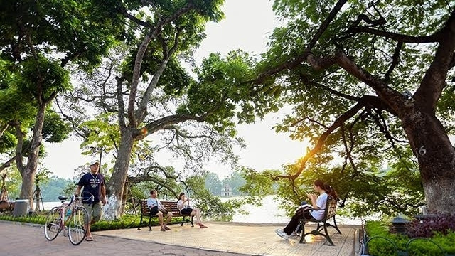 Sunshine filtering through leaves around Hoan Kiem Lake on a tranquil evening.