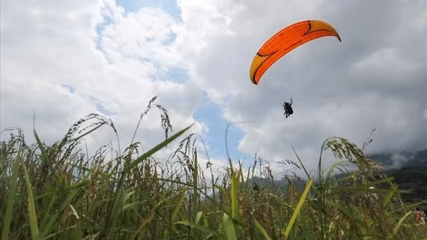 The paragliding festival opens in Mu Cang Chai district on September 21. (Photo: laodong.vn)