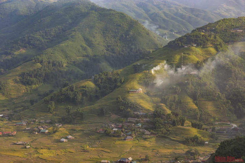 Going down with the provincial road No.152 from Sapa town towards Muong Hoa Stream, visitors can admire the romantic scenery of ripening rice in the golden sunshine along the mountain sides in Ly Linh Ho, Lao Chai and Ta Van hamlets. 