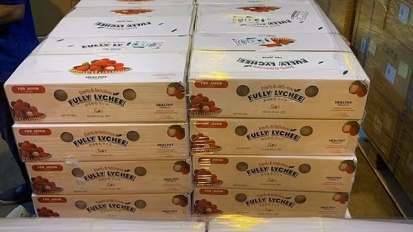 Boxes of fresh lychee exported to Japan (Photo courtesy of the airline)