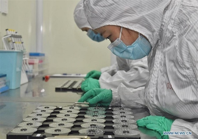 Staff process nucleic acid test chip at the plant of a Chengdu-based biotech company in southwest China's Sichuan Province, February 24, 2020. (Photo: Xinhua)