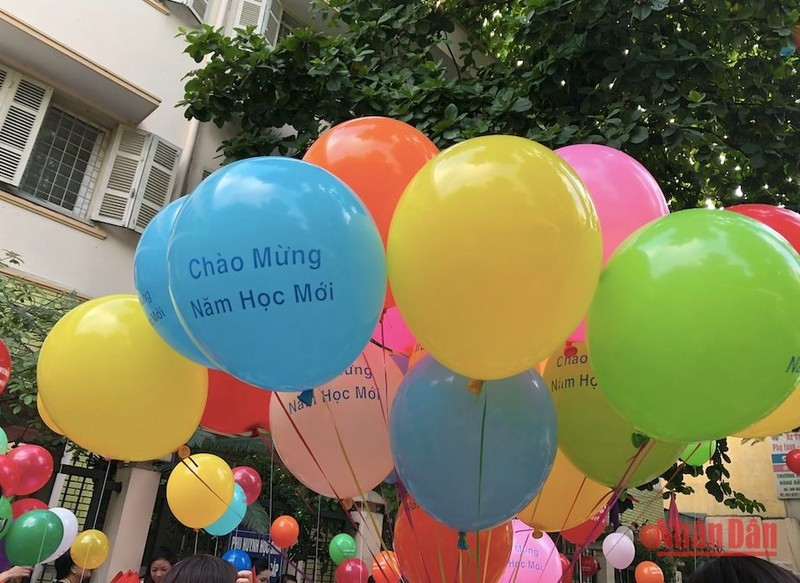 Illustrative image (Photo: Viet Dung)