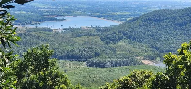 Illustrative image. (Photo: VNA)