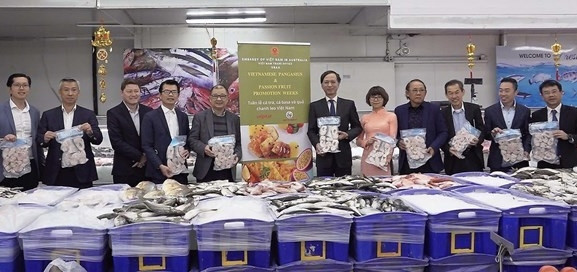 The Vietnamese Embassy in Australia kicks off its Pangasius promotion week in Melbourne. (Photo: VNA)