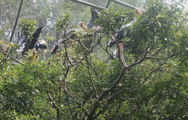 Illustrative photo (Photo: VNA)