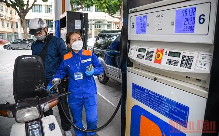 Illustrative image (Photo: NDO/Thanh Dat)