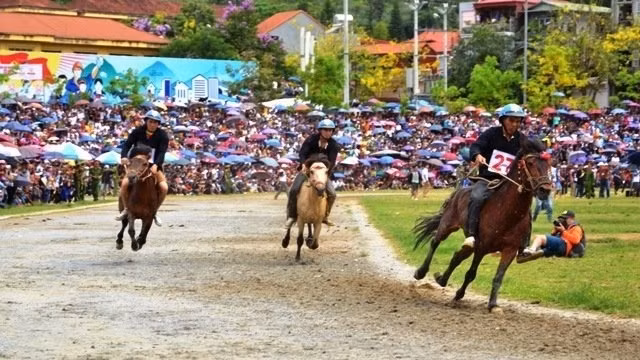 The Bac Ha horse race attracts thousands of spectators. (Photo: Quoc Hong)