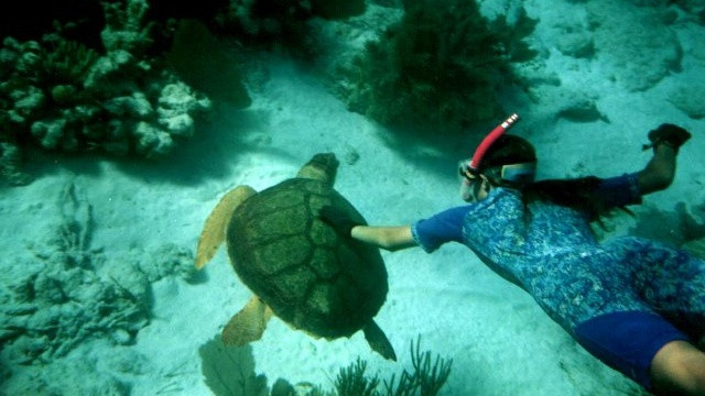 Cu Lao Cham world natural biosphere reserve is an attractive destination in Hoi An city.