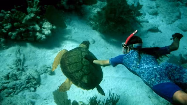 Cu Lao Cham world natural biosphere reserve is an attractive destination in Hoi An city.