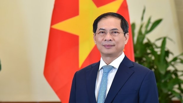 Minister of Foreign Affairs Bui Thanh Son (Photo: VNA)