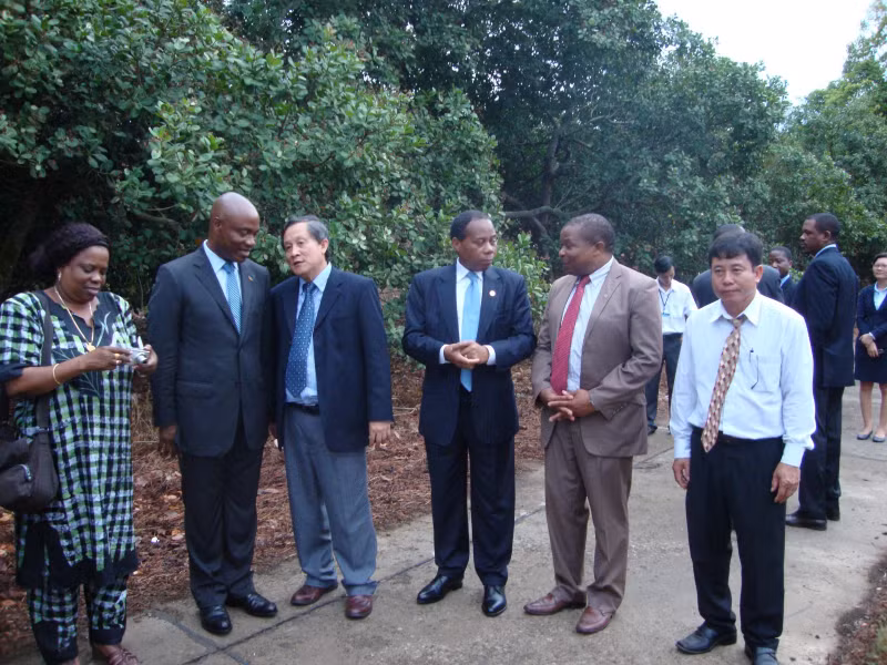 Mozambique Agriculture Minister Jose Pacheco visited a cashew farm in Vietnam in 2013 (Source: iasvn.org)