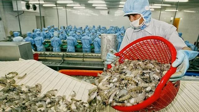 Vietnam is currently the largest shrimp supplier of the RoK, providing 49% of total shrimp imports.