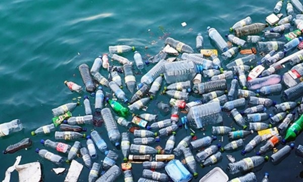 Illustrative image (Photo: Baotainguyenvamoitruong.vn)