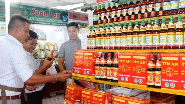 Visitors at the fair 