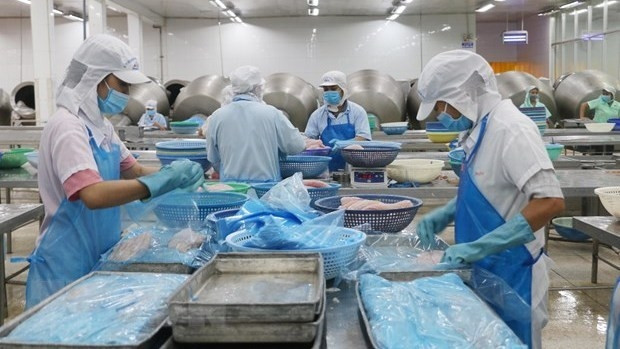  Vietnam’s agro-forestry-aquatic product exports and imports were estimated at nearly 82.67 billion USD in the first 11 months of this year. (Illustrative image/Source: VNA)