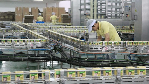 The manufacturing line in the Vinasoy’s plant in Bac Ninh province (Credit: baobacninh.com.vn)