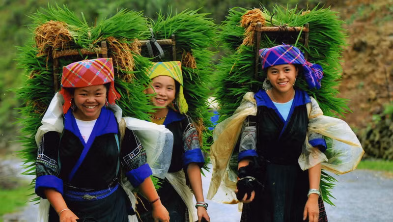 Vietnam Corner: Write for us