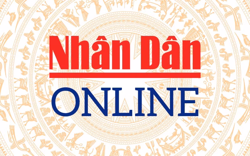 Religion, belief important to peace promotion: Vietnamese Ambassador