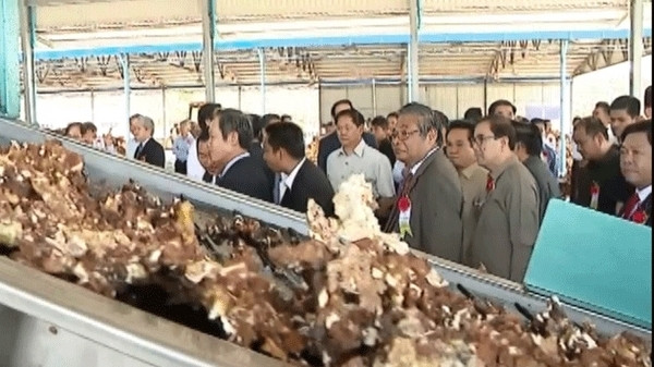 A rubber latex processing line at the plant