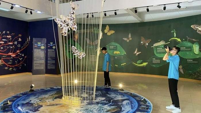 A corner of Cuc Phuong Museum