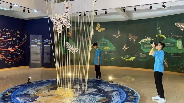 A corner of Cuc Phuong Museum