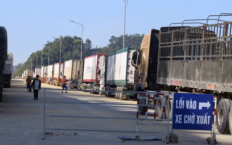 Trucks carrying agricultural products are stuck at Tan Thanh border gate (Lang Son). (Photo: HUNG TRANG)