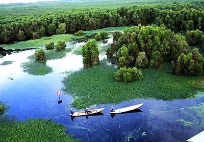 Ca Mau Cape national park to become world Ramsar