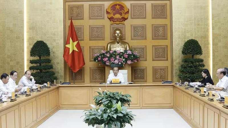 Deputy PM Truong Hoa Binh at the meeting (Photo: VGP)