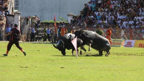 Image for illustration (Photo: nguoiduatin.vn)