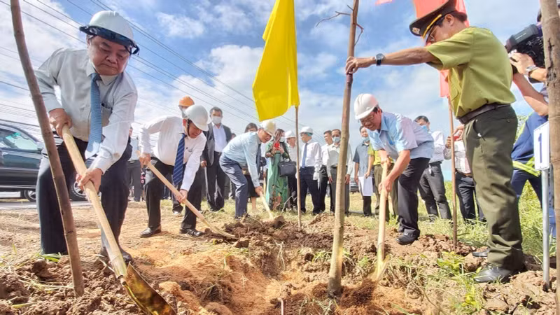 After the launch ceremony, Ben Tre started planting trees on major roads, urban areas, and tourist spots in Binh Dai district. (Photo: VNA)