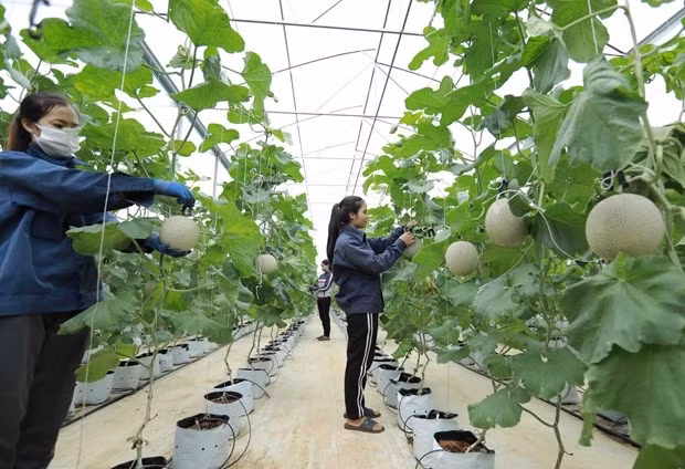 Illustrative image (Source: VNA)