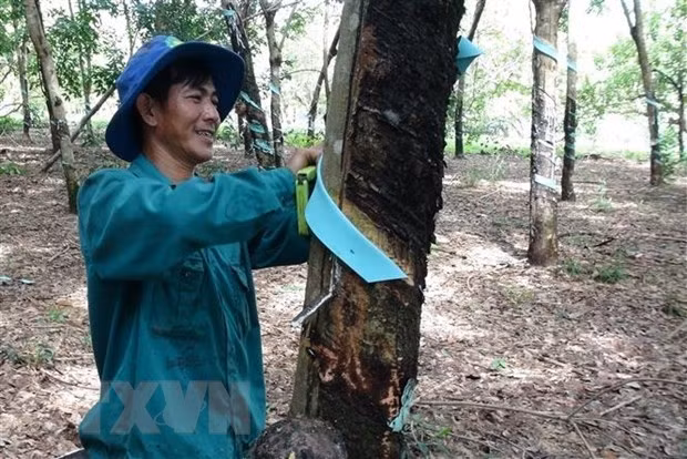 Illustrative image (Source: VNA)