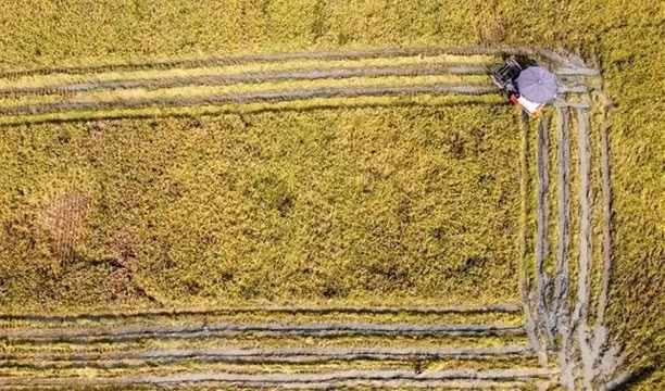 Harvesting rice in Dong Ich commune of Lap Thach district, Vinh Phuc province (Photo: VNA)