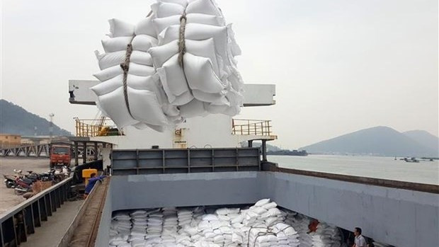 Ministry of Industry and Trade clarifies tariff quotas for rice, dried tobacco leaves imported from Cambodia. (Photo: VNA) 