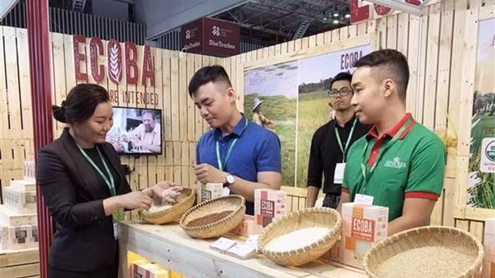 Visitors to the expo (Photo: VNA)