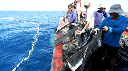 Fishermen in Quang Ngai province catch fish in the East Sea. (Credit: VNE)