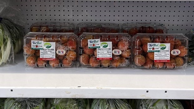 Vietnamese lychee reach UK consumers
