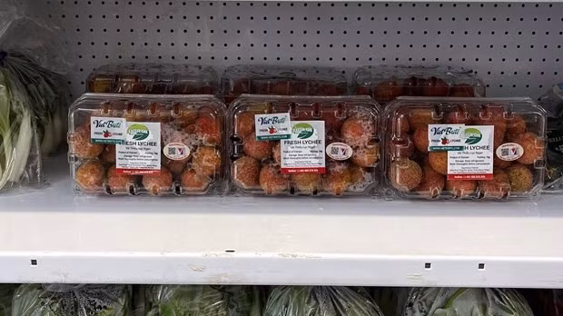 Vietnamese lychee reach UK consumers