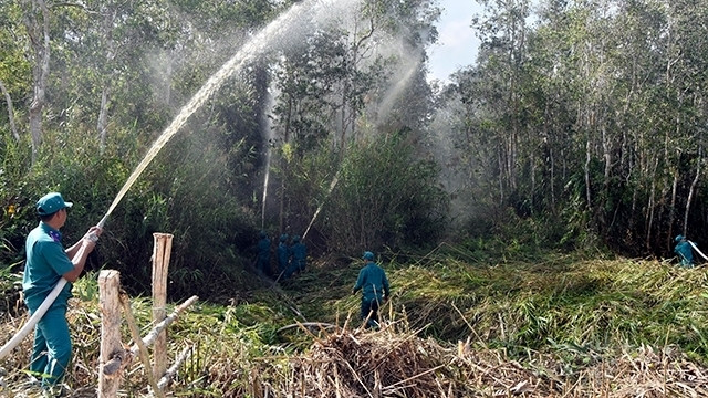 Illustrative image (Photo: NDO/Quoc Khai)