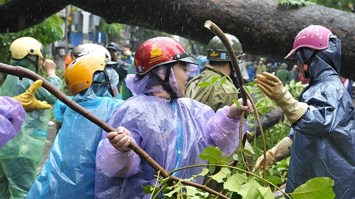 Hanoi people urgently clear fallen trees after the storm.