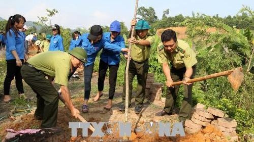 Participants plant trees in the locality (Photo: VNA)