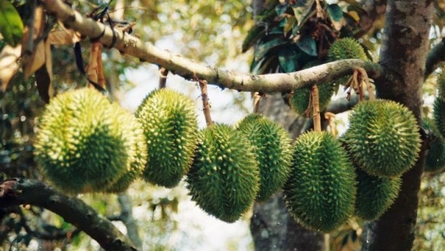 Illustrative image (Photo: dangcongsan.vn)