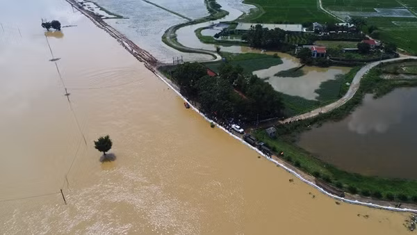 Hundreds of soldiers and locals in Thanh Binh commune, in Hanoi’s Chuong My district, urgently build a sandbag dike to consolidate the left bank of Bui Rive dyke against the rising floods on July 30. (Photo: hanoimoi.com.vn)