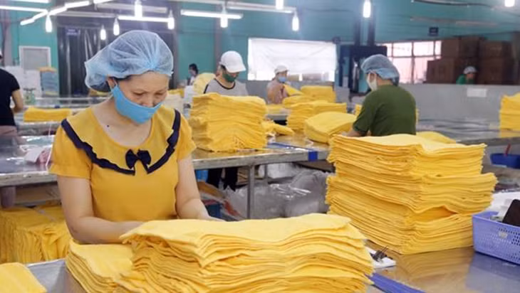 A garment factory in Nam Dinh Province. (Photo: VNA)