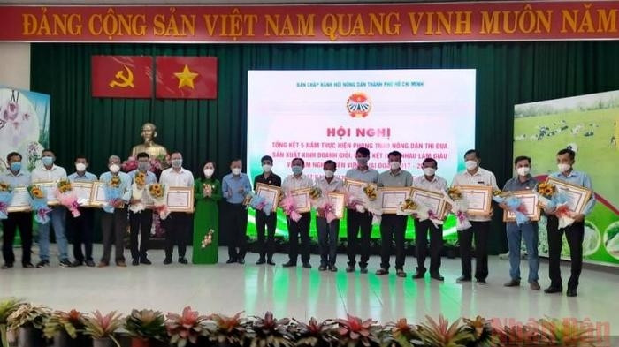 The outstanding farmers are honoured at the conference. (Photo: NDO)